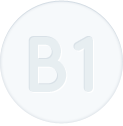 b1